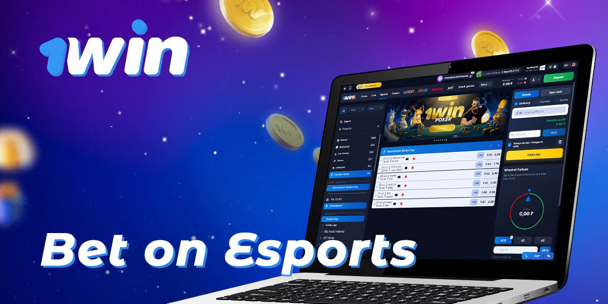 Sports that Indian users can bet on at 1Win
